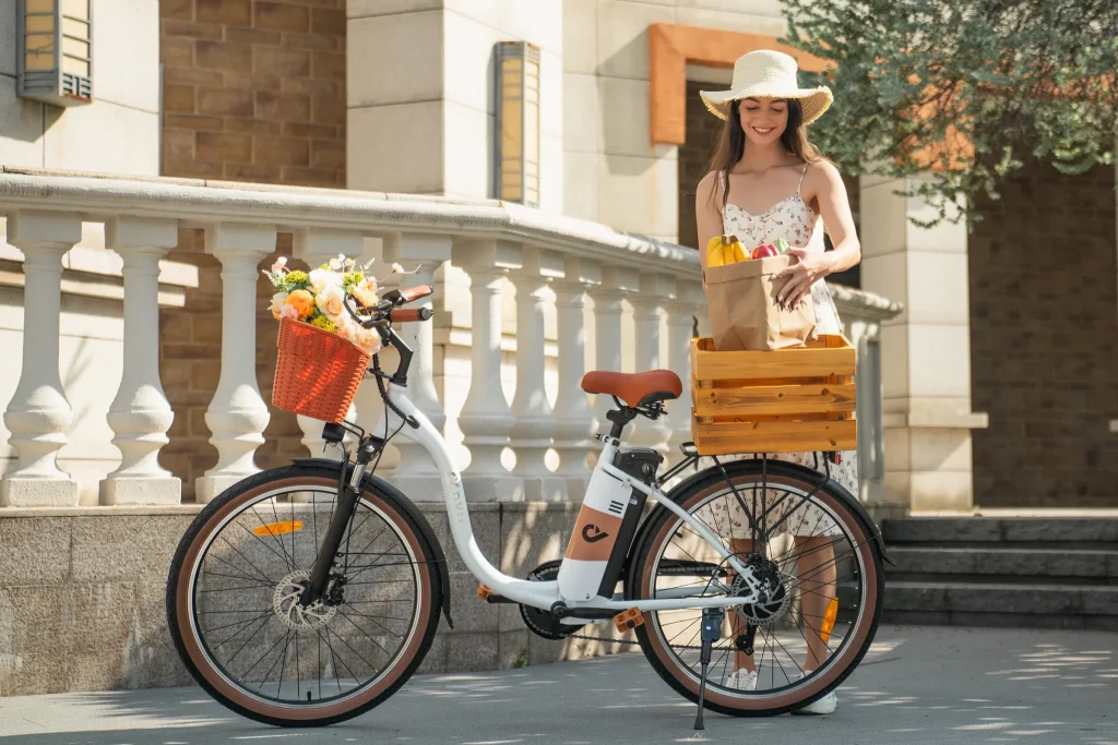 Porównanie zalet i wad rowerów elektrycznych z baterią litowo-jonową oraz z baterią kwasowo-ołowiową 9 Porównanie zalet i wad rowerów elektrycznych z baterią litowo-jonową oraz z baterią kwasowo-ołowiową 5