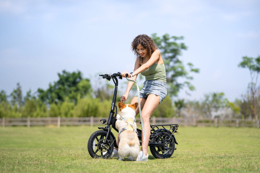 Pierwsza reklama e‑bike’a: jak w latach 70. próbowano sprzedać „elektryczne konie” 19 Pierwsza reklama e‑bike’a: jak w latach 70. próbowano sprzedać „elektryczne konie” 17