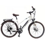 Elektryczny rower trekkingowy Schiano E-Voke 28″ 250W 36V 11,6Ah