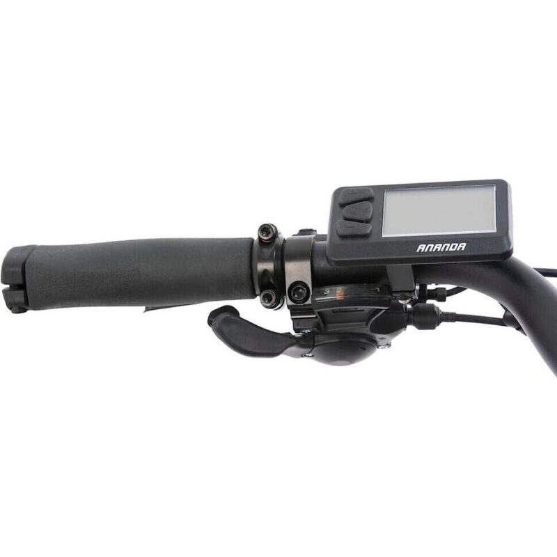 Rower elektryczny F.lli Schiano E-Wave, 28" – 250W, 80 km zasięgu, hydrauliczne hamulce 2