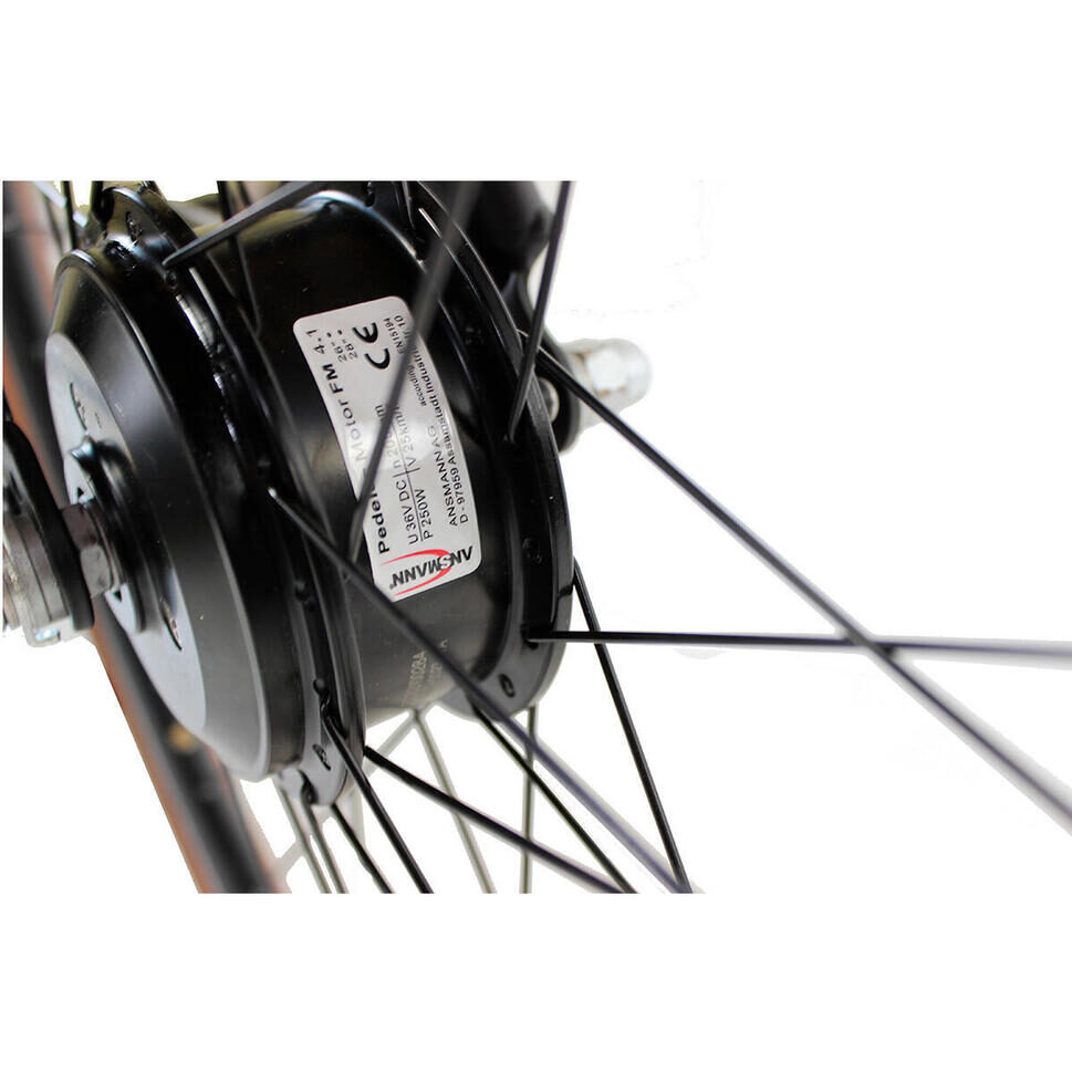 Canellini Dolce Vita – rower elektryczny miejski 28″ z torbami 3 Canellini Dolce Vita – rower elektryczny miejski 28″ z torbami - obrazek 3