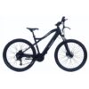 Elektryczny rower górski F.lli Schiano E-Mercury 29" 250W 36V 11,6Ah