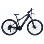 Elektryczny rower górski F.lli Schiano E-Mercury 29" 250W 36V 11,6Ah