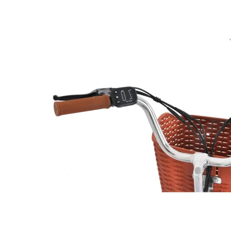 Składany rower elektryczny F.lli Schiano 20” 250 W 36 V 7.8 Ah – miejski e-bike dla dorosłych 2